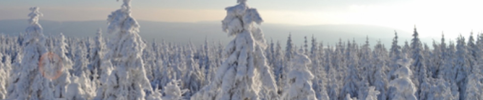 Winter im Fichtelgebirge