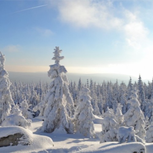 Winter im Fichtelgebirge