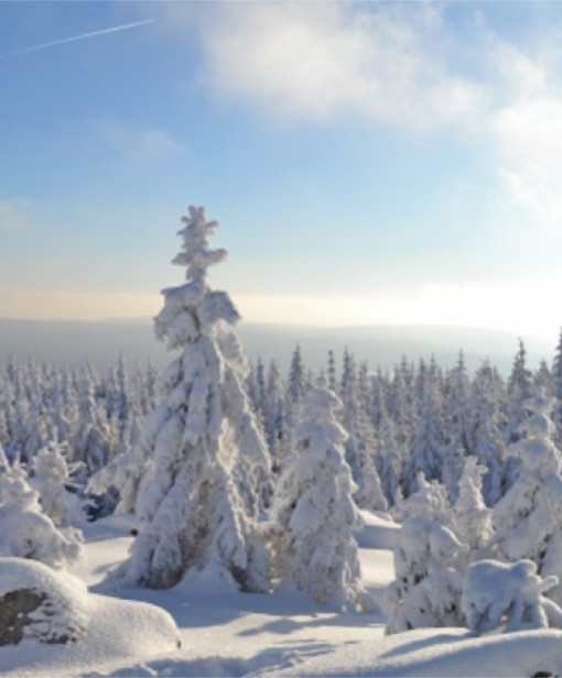 Winter im Fichtelgebirge