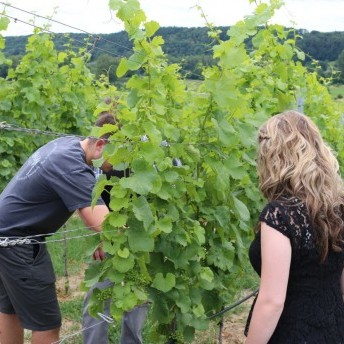 Weinfahrt nach Würzburg