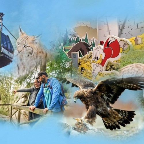 Teaser Erlebnisticket - Startbild