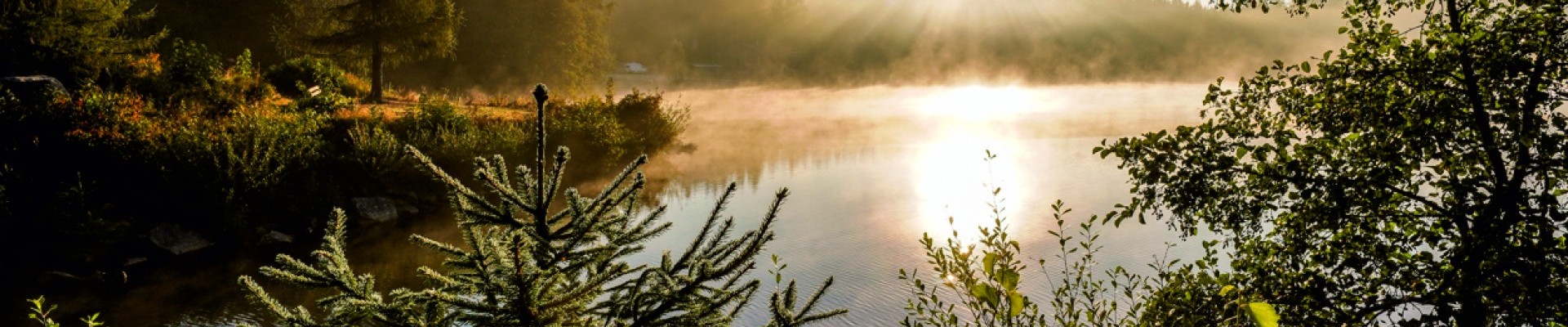 Fichtelsee in the morning fog
