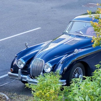 Ein echter Klassiker und eine Augenweide von einen wuderschönen alten Jaguar