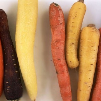 Gefüllte Zwiebeln - Auswahl an Karotten