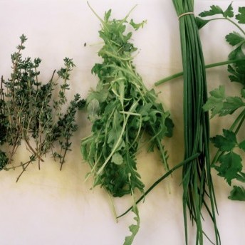 Gefüllte Zwiebeln - Kräuter für die Sauce