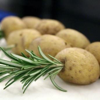Kartoffelspieße mit Rosmarinzweig