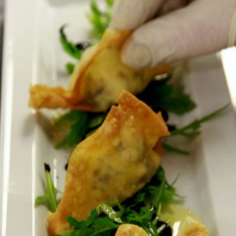 Schafskäse-Wan-Tan - angerichtet auf Rucola-Salat