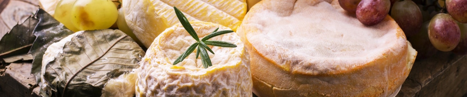 Rezepte für Käsegerichte