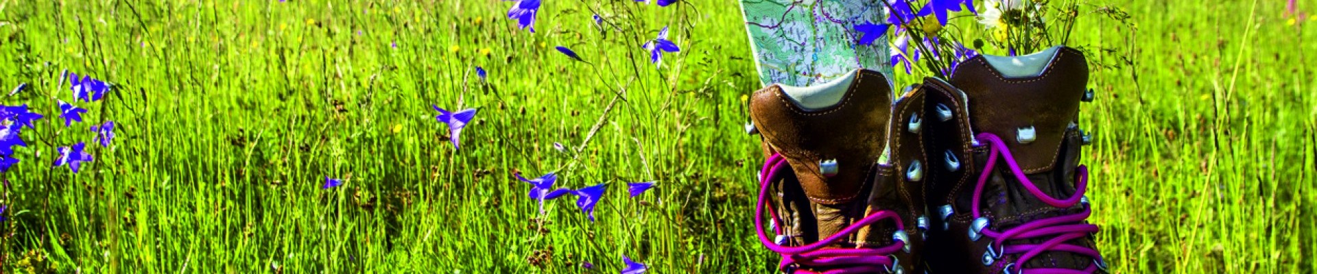 Wanderschuhe , Sommerwiese