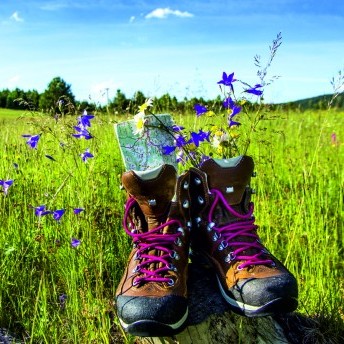 Wanderschuhe , Sommerwiese