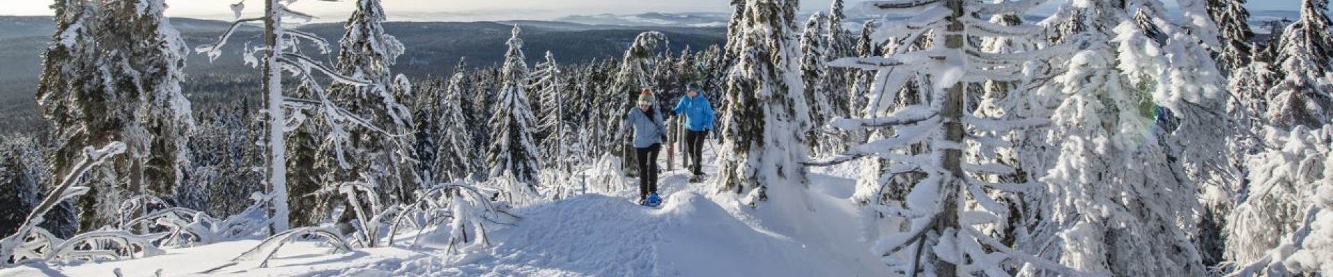Schneeschuhwanderer in herrlicher Winterlandschaft