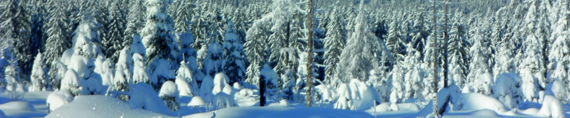 Verschneites Fichtelgebirge