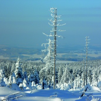 Verschneites Fichtelgebirge